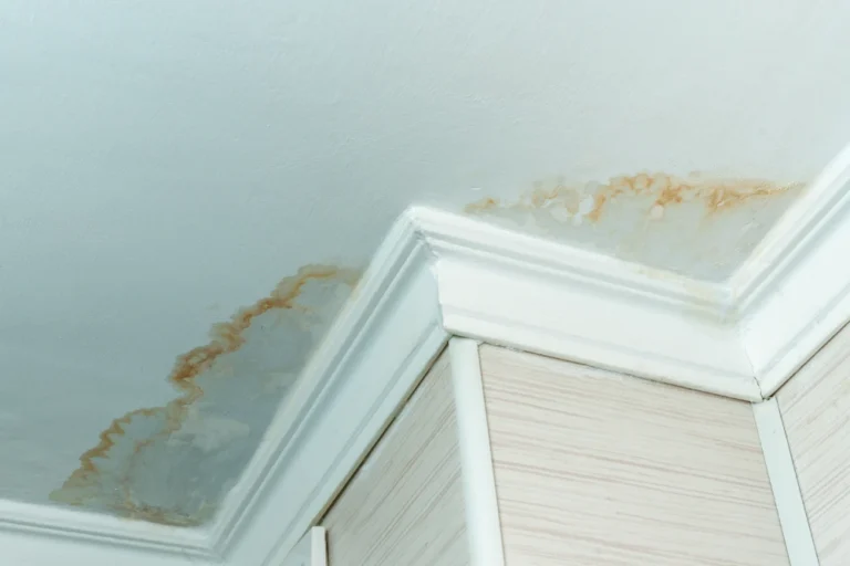 Roof Leak