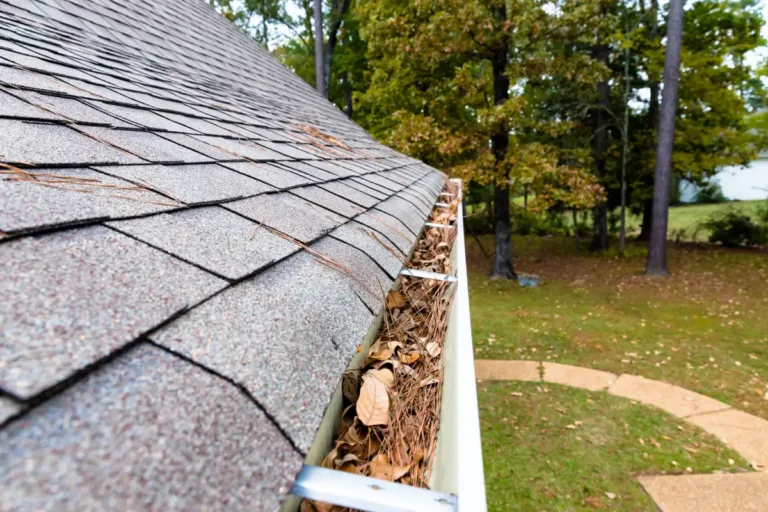 Roofing Problems